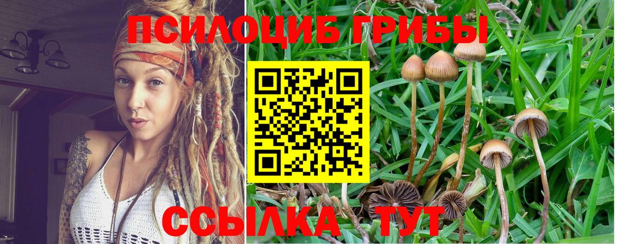 Галлюциногенные грибы мицелий Кизляр