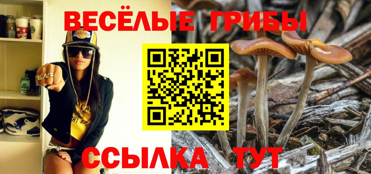 Галлюциногенные грибы MAGIC MUSHROOMS  Псилоцибиновые грибы Psilocybine cubensis  Вход с VPN  Кизляр 