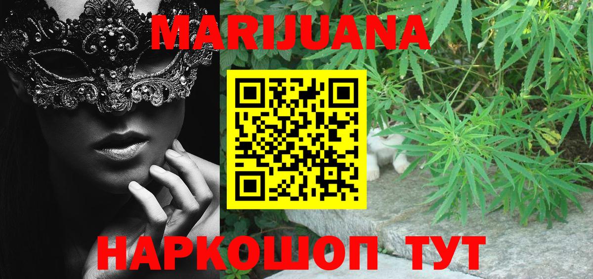 Каннабис планчик Кизляр